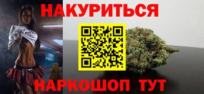 прущие грибы Краснодар