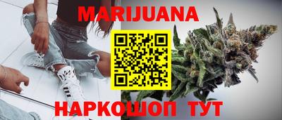 прущие грибы Краснодар
