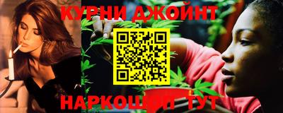 прущие грибы Краснодар