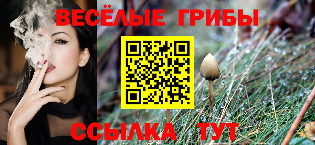Галлюциногенные грибы Magic Shrooms Коломна